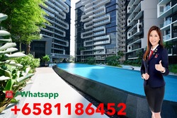 The Poiz Residences (D13), Apartment #192539412